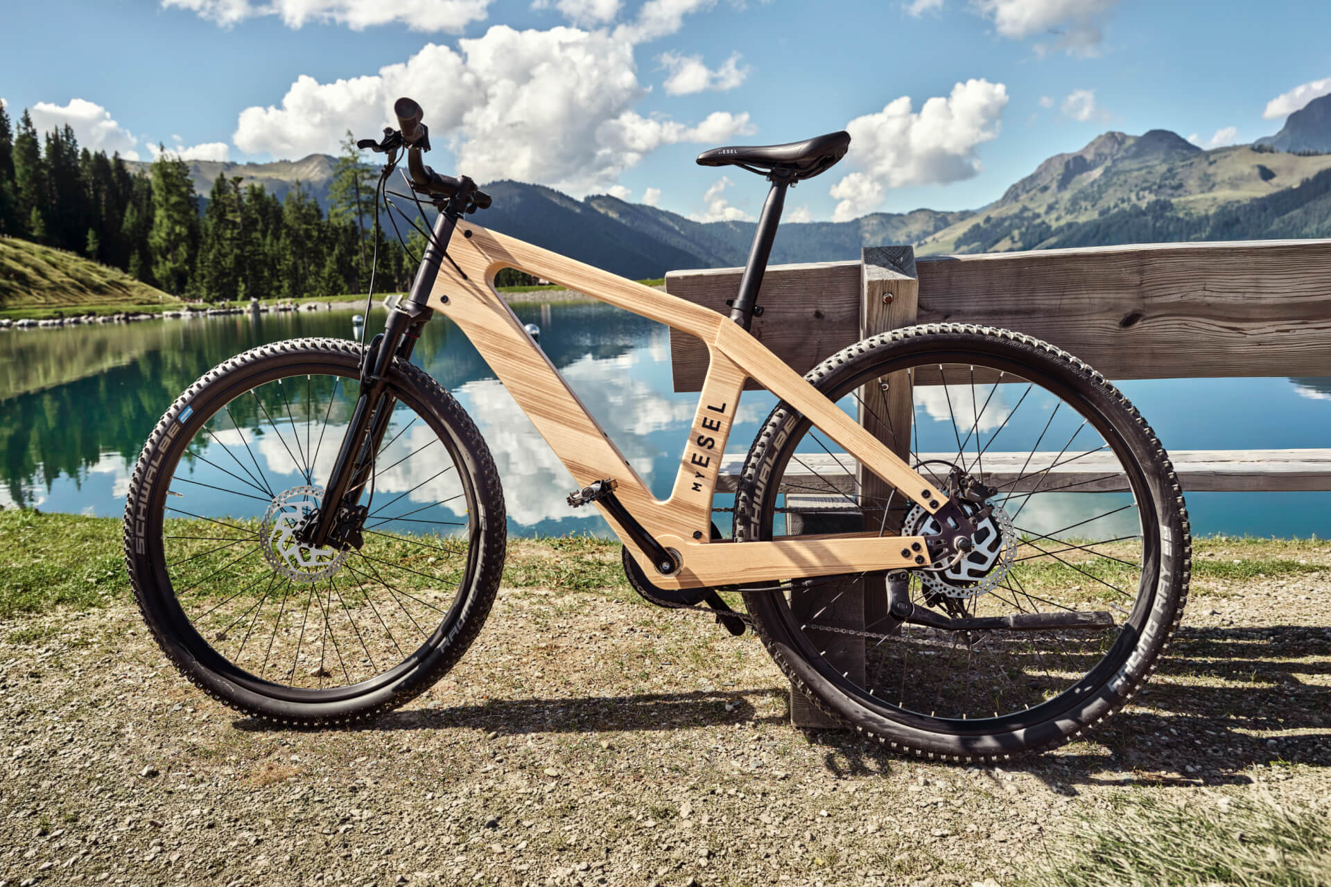 elektrofahrrad aus holz eTour Esel – Touren E-Bike aus Holz